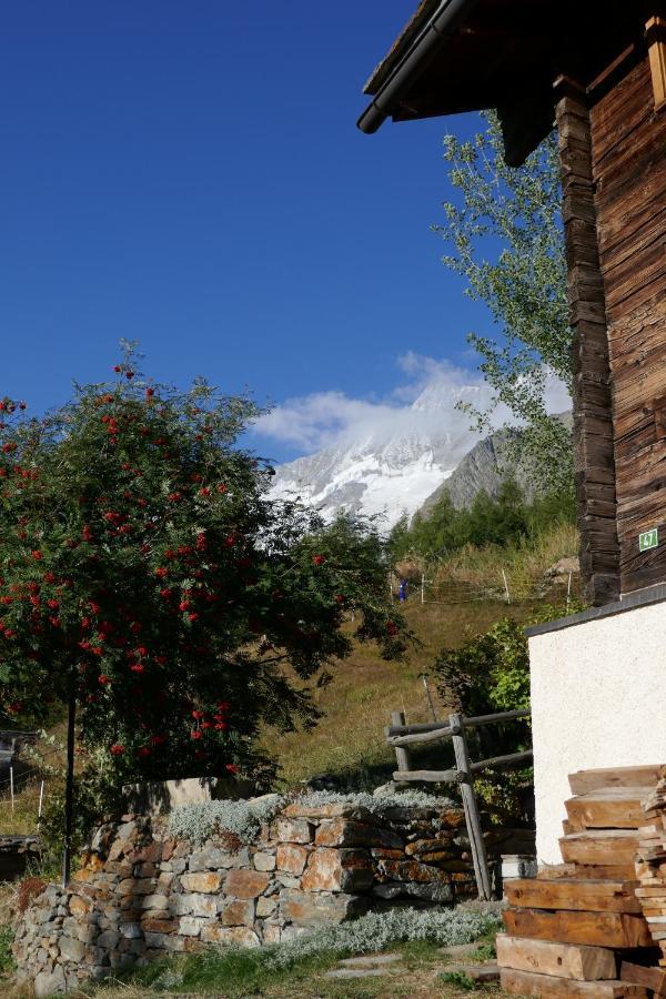Chalet Birkhahn Зас-Фе Экстерьер фото