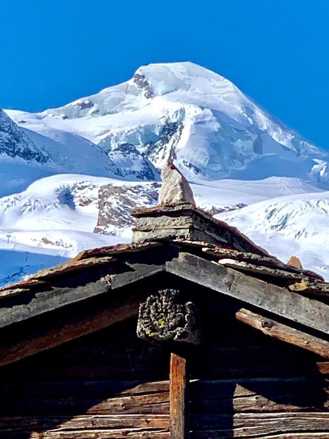 Chalet Birkhahn Зас-Фе Экстерьер фото