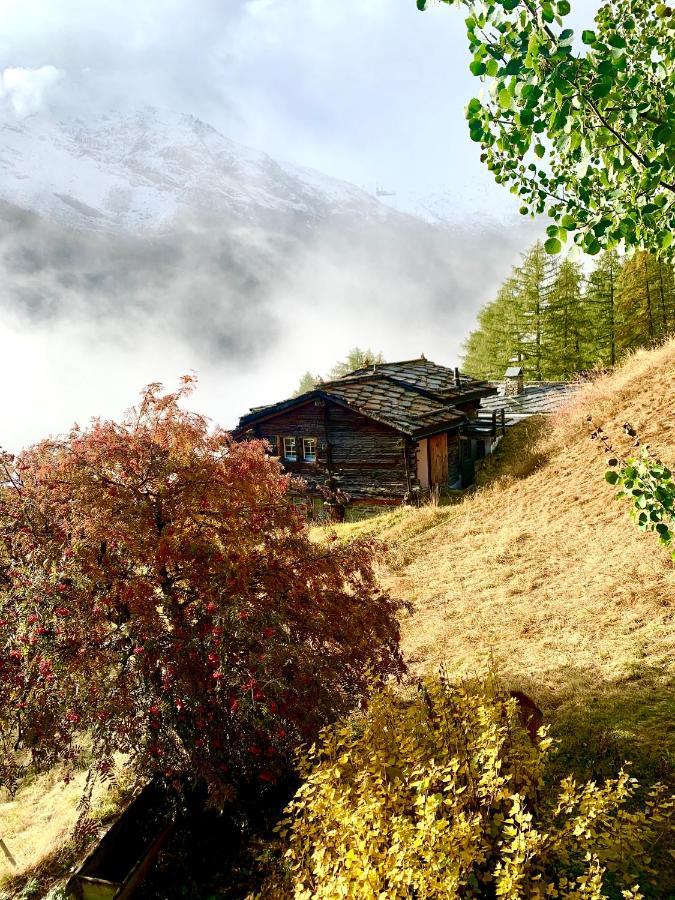 Chalet Birkhahn Зас-Фе Экстерьер фото