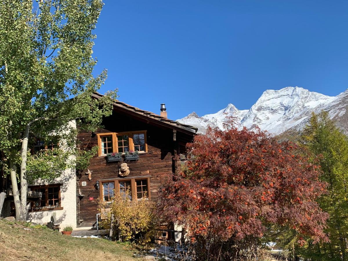 Chalet Birkhahn Зас-Фе Экстерьер фото